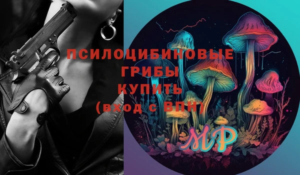 мяу мяу мука Баксан