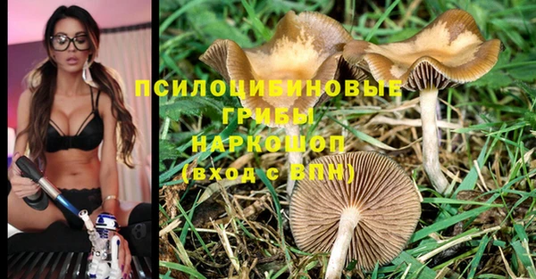 мяу мяу мука Баксан