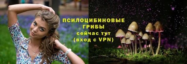мяу мяу мука Баксан