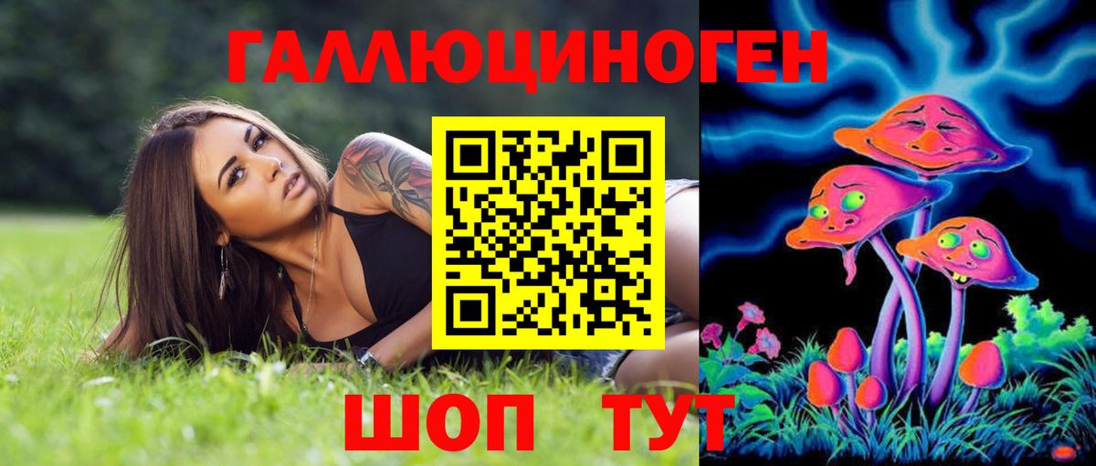 Галлюциногенные грибы Psilocybe  Вход с VPN  Корсаков 