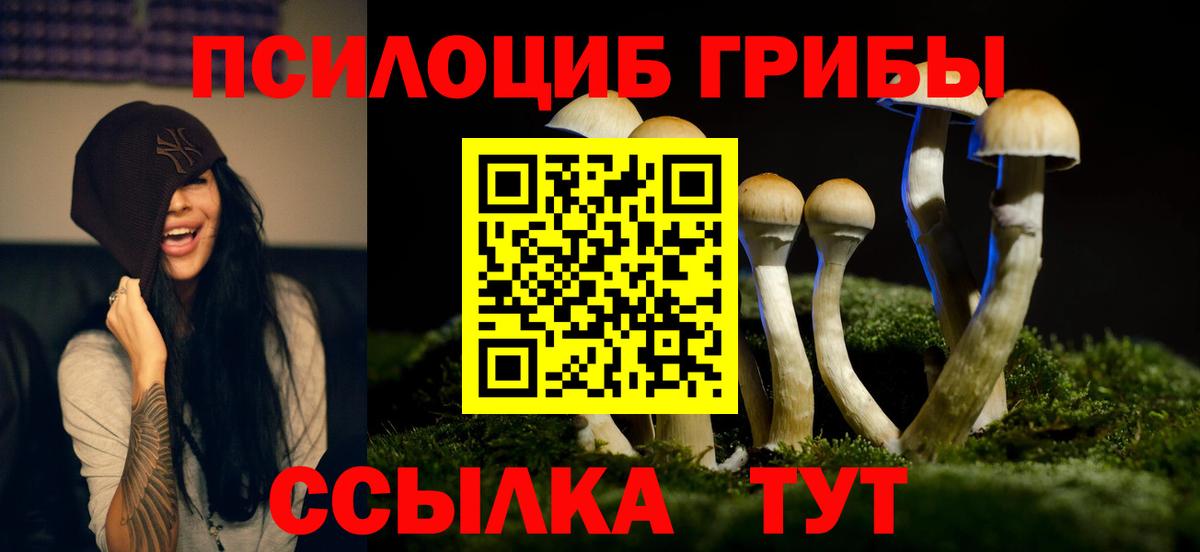 Псилоцибиновые грибы Psilocybine cubensis Корсаков