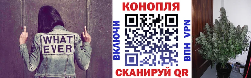 Конопля LSD WEED  закладка  Корсаков 
